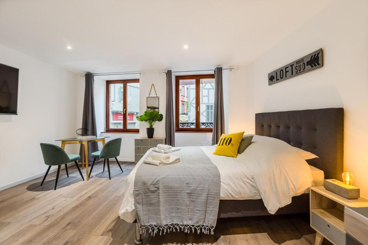 Travel Homes - L'Arsenal, Studios En Hyper Centre Mulhouse Ngoại thất bức ảnh