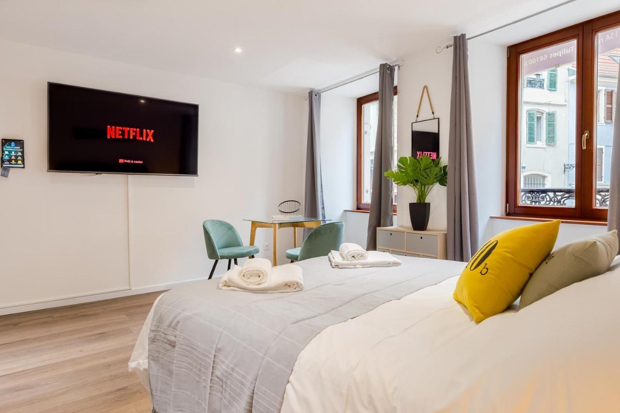 Travel Homes - L'Arsenal, Studios En Hyper Centre Mulhouse Ngoại thất bức ảnh